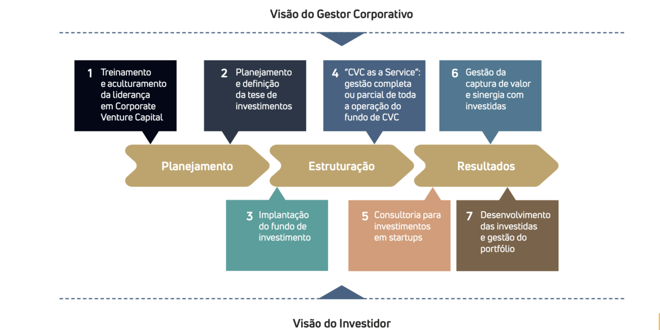 Visão do Gestor Corporativo e do Investidor